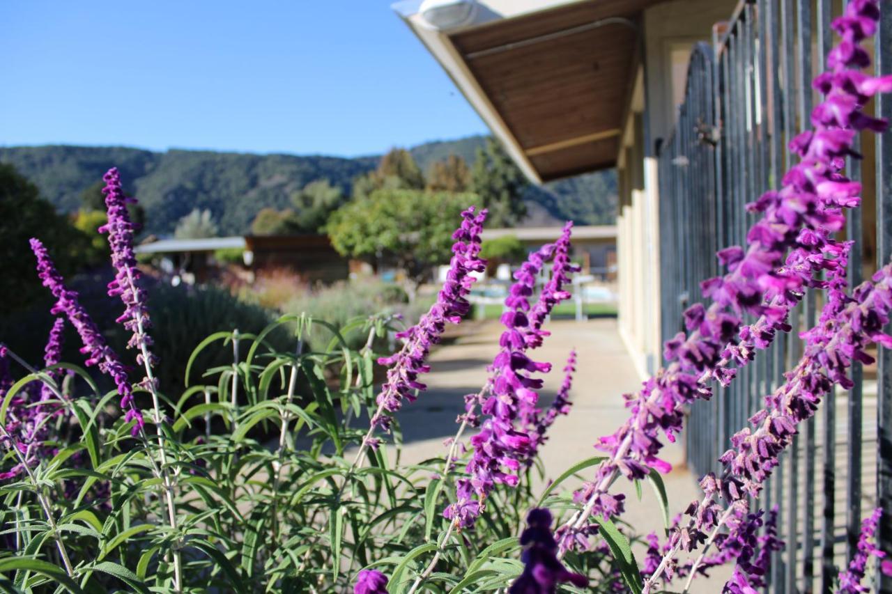 Contenta Inn Carmel Valley Exterior photo